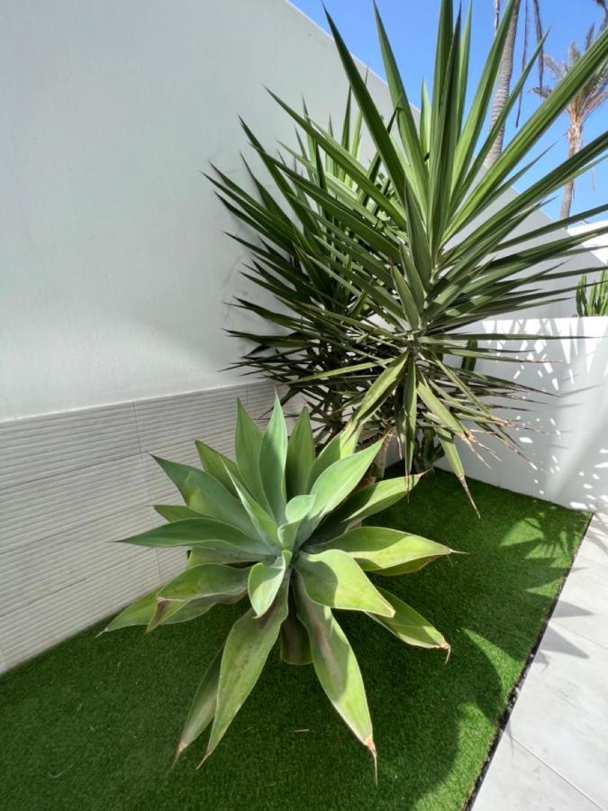 Corralejo Bristol Terrace Apartment Con Giardino Privato Esterno Esterno foto